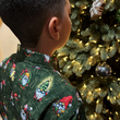 Load image into Gallery viewer, Gnome for the Holidays - Youth