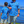 Load image into Gallery viewer, A middle close up view of a adult and youth model wearing the 7-Strong &quot;7-Seas&quot; shirt, a bright blue colored shirt with various nautical depictions such as islands, ships, mermaids, etc - drawn in a treasure map like fashion. The models are standing against a body of water, the youth looking out and the adult looking to the side facing camera. 
