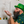 Load image into Gallery viewer, A male model sits in a bathtub wearing a green Irish top hat and blowing soap bubbles in his hand wearing the 7-Strong &quot;Duck O&#39; The Irish&quot; adult button down, featuring a deep green water-replicating background with various rubber ducks swimming along the waves. 
