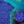 Load image into Gallery viewer, A 3/4 close-up shot of the 7-Strong &quot;Coral of the Story&quot; adult button down shirt. Color of the shirt is blue with vibrant purple, teal, orange sea life imagery - particularly fish and coral reef. The shirt is shown against an underwater background showcasing coral. In the bottom right corner is a close up circle highlight the shirt design details. 
