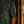 Load image into Gallery viewer, Midsection view of a male model wearing the 7-Strong &quot;Straight Sippin&#39;&quot; Short Sleeve button down. The shirt is a deep green with black ripples as its background, while the foreground has various drinking glasses with various levels of whiskey, some with ice, others without. The model is shown against a background of various whiskies and bourbons on a shelf.
